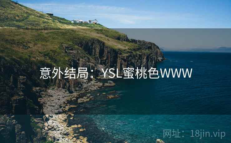 意外结局：YSL蜜桃色WWW