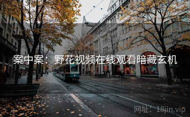 案中案：野花视频在线观看暗藏玄机  第2张