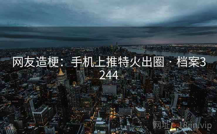网友造梗：手机上推特火出圈 · 档案3244  第2张