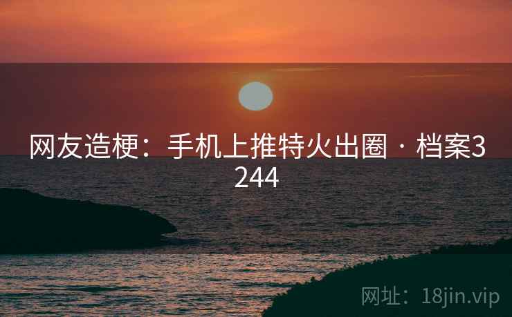 网友造梗：手机上推特火出圈 · 档案3244