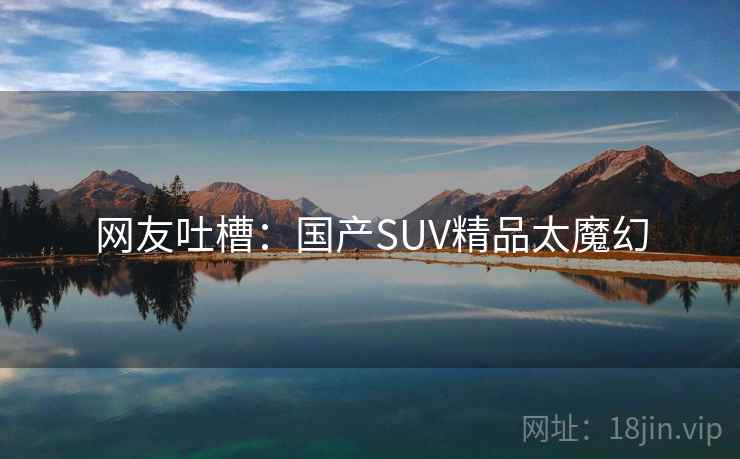 网友吐槽：国产SUV精品太魔幻  第1张