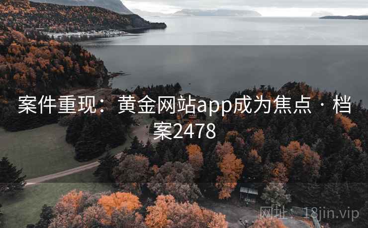 案件重现：黄金网站app成为焦点 · 档案2478