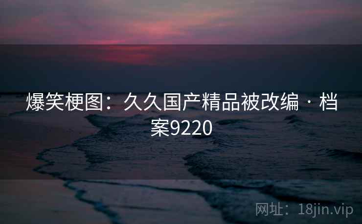 爆笑梗图：久久国产精品被改编 · 档案9220